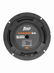 AMP Concert 6.5